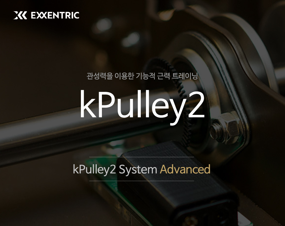 1.kPulley2SystemAdvanced_144816.jpg